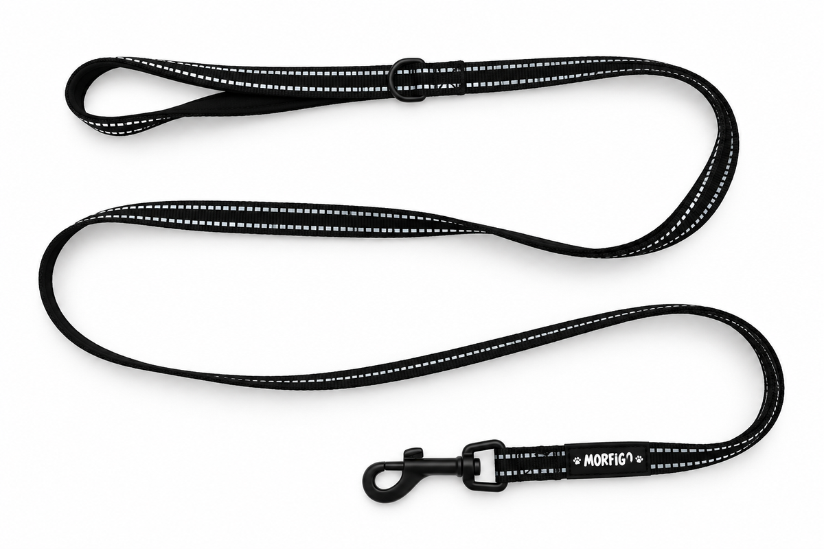 MORFIGO Everyday Leash – Fényvisszaverő kutyapóráz