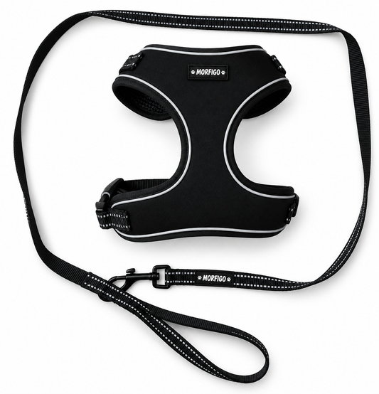 MORFIGO Harness Set – Hám + Póráz