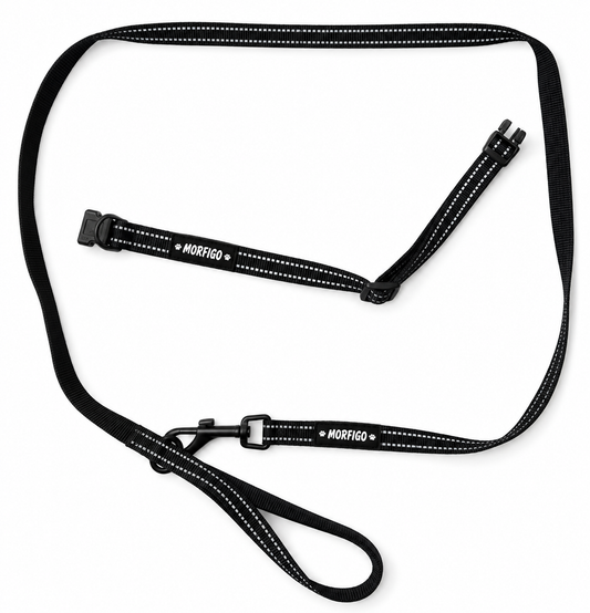 MORFIGO Collar Set – Nyakörv + Póráz
