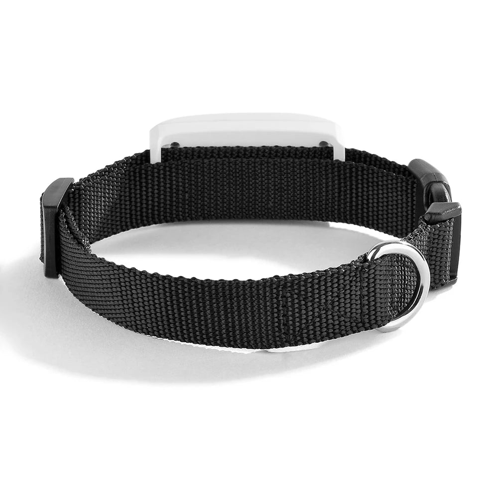 Okos nyakörv GPS követéssel – biztonság kedvencednek