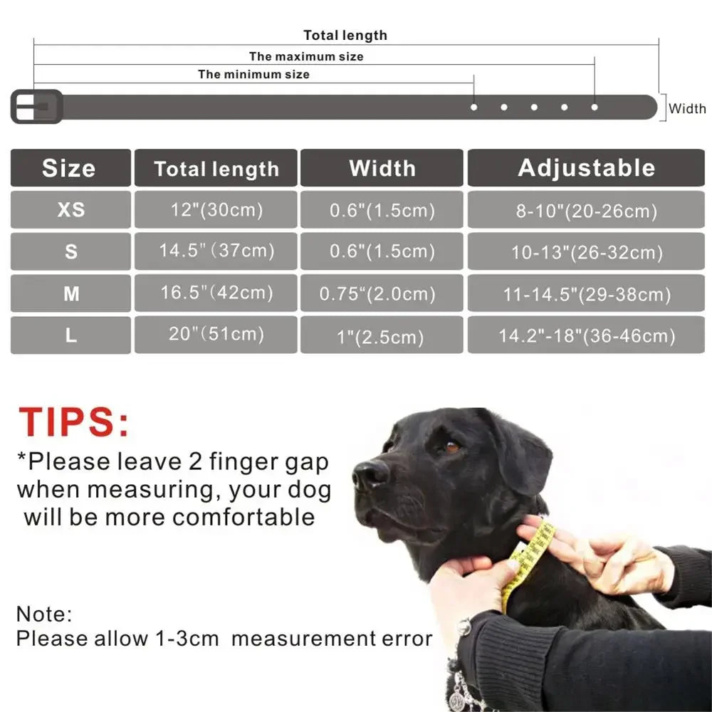 Egyedi gravírozott kutya nyakörv – több színben és méretben