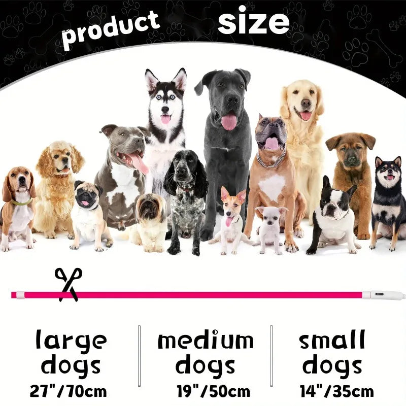 Világító LED-es nyakörv USB-töltéssel – 3 fényfunkcióval, sötétben is látható, biztonságos séta kutyáknak és macskáknak.